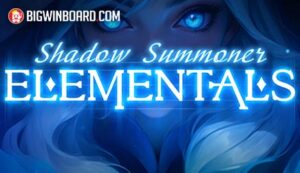 Shadow Summoner Elementals