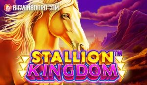 Stallion Kingdom