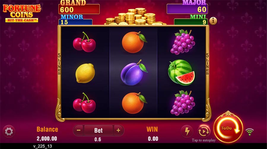 Fortune Coins slot