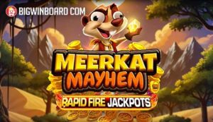 Meerkat Mayhem